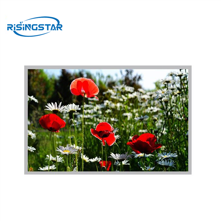 15.6-Inch 1000-Nits Sunlight Readable Digital TFT Panel