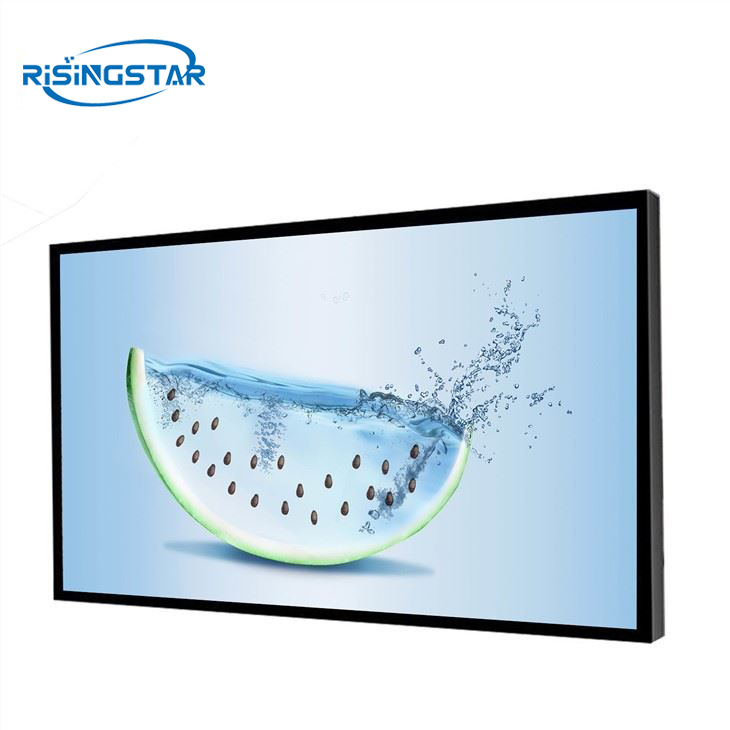 RisingStar 48 inch LTI480HN02 LCD Panel